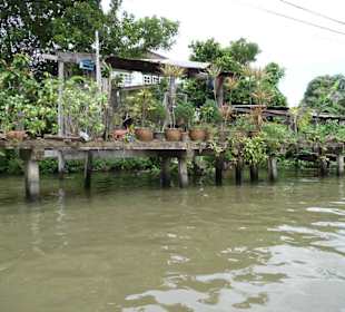 Immer was Neues zu sehen