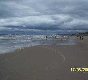 Plaża w Grzybowie