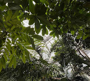 Botanischer Garten in Washington 