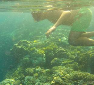 Schnorchelausflug