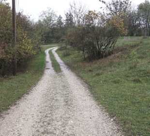 Naturschutzgebiet Listhof