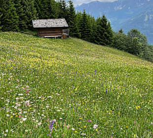 Wandern in Serfaus-Fiss-Ladis