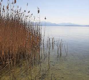 Chiemsee