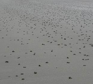 Zweiter Strand bei Ebbe