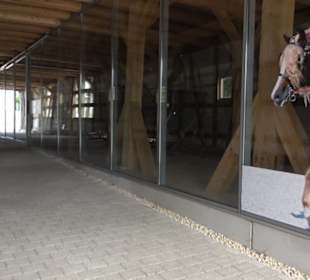 Haupt- und Landgestüt Marbach