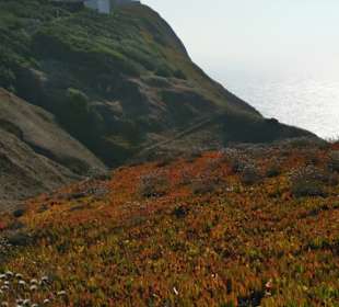 Der Faro von einem der vielen Wanderwege.