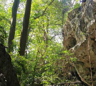 Ausflug zum National Park Los Tres Ojos mit Andy