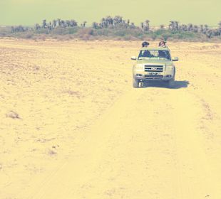 Mit dem Pickup-Truck über Boa Vista