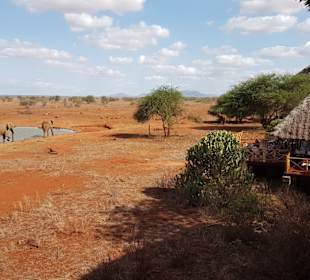 Ngutuni Lodge mit Ausblick Wasserloch