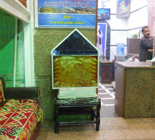 Ägyptische Fischspezialitäten