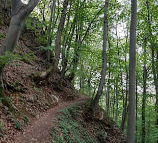 Premiumwanderweg Hohenwittlingensteig