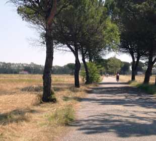 Richtung Leuchtturm auch Radweg