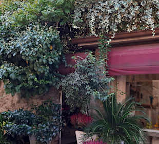 Altstadt Bardolino