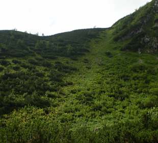 Tatrzański Park Narodowy