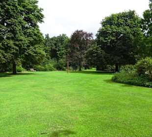 Hochsommer im Kurpark Bruchhausen-Vilsen