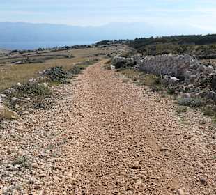 Bei einem Ausflug zur Insel Krk