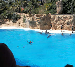 Loro Parque 