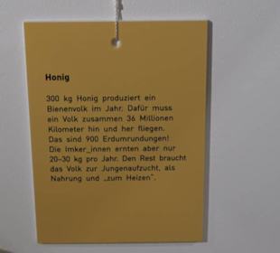 Museum für Naturkunde