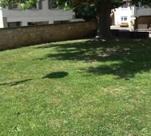 Schloss-Scheuer Baisingen