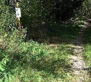 Baumlehrpfad Zollertal