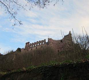 Schloss Heidelberg