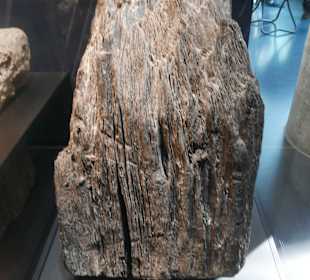 Ein Fund eines Eichenbalkens