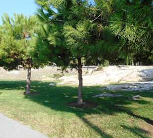 Amphitheater mit Park