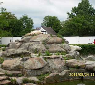 Besuch im Berliner Zoo