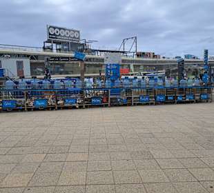 Stadtrundgang Den Haag - Scheveningen