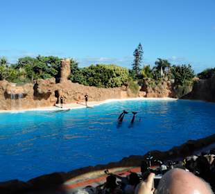 Loro Parque 