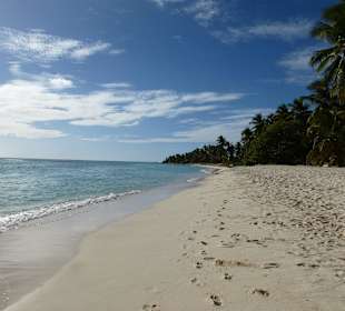 Der Lange Strand Svon Saona