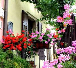 Blumenschmuck an Häusern