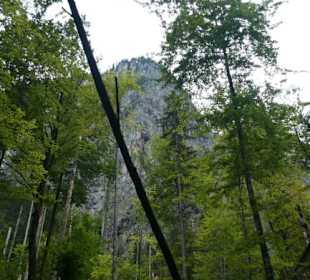 Auf dem Weg zur sogenannten Eiskapelle