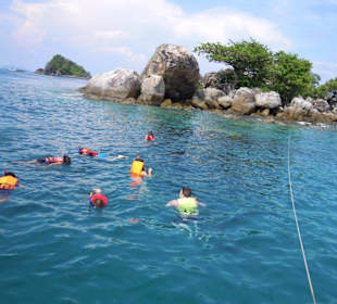 Korallenriff im Marine National Park