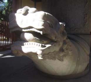 Schildkröte als Symbol der Ewigkeit