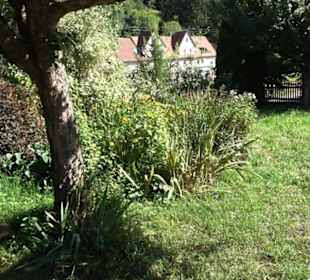 Klosterkirche Maria Gnadenzell