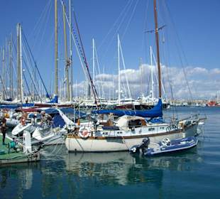 Hafen Palma de Mallorca