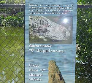 Na, hätten Sie es gewusst? 