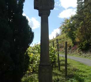 Unterwegs in den Weinbergen von Ramsthal