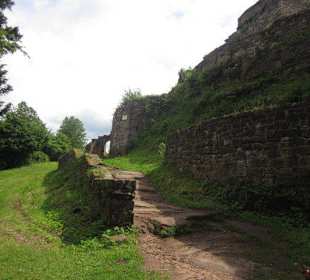 Die Wegelnburg