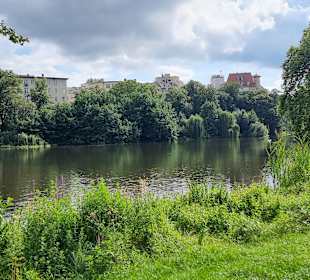 Blick zum Lietzensee 