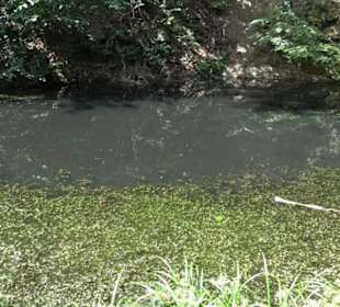 Wanderweg Märchensee Runde