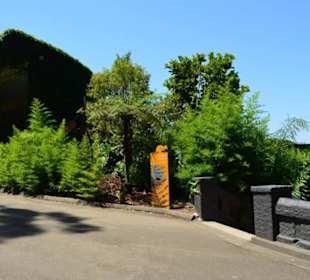 Taronga Zoo
