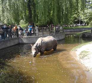  Tierpark Hellabrunn