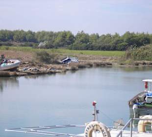 Blick vom Boot