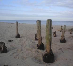 Plaża