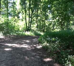 Burg Hölnstein Stetten u. Holstein