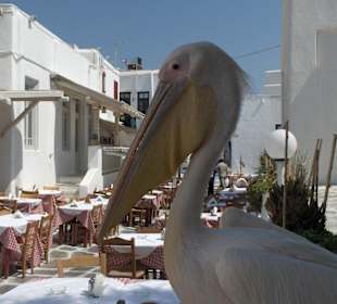 Per le vie del centro