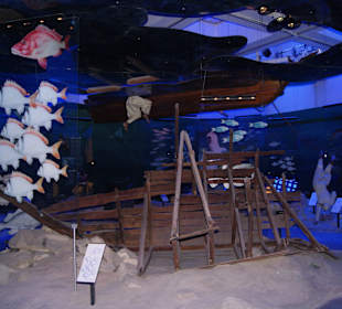 Ausstellungsraum rund um das Thema Meer