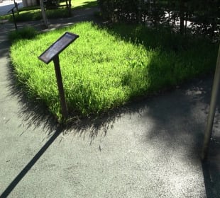 Seegarten-Anlage / Kurfürsten-Anlage